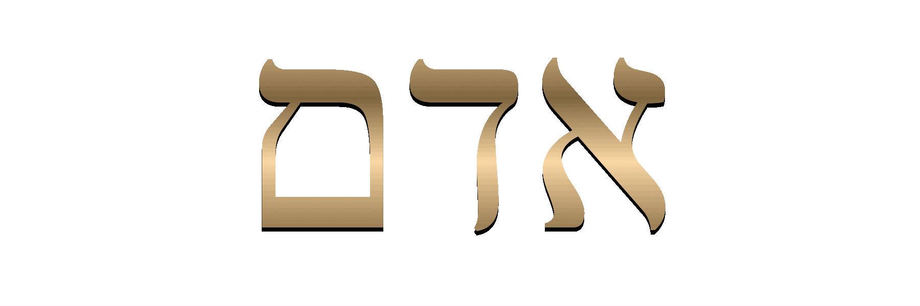 ADAM