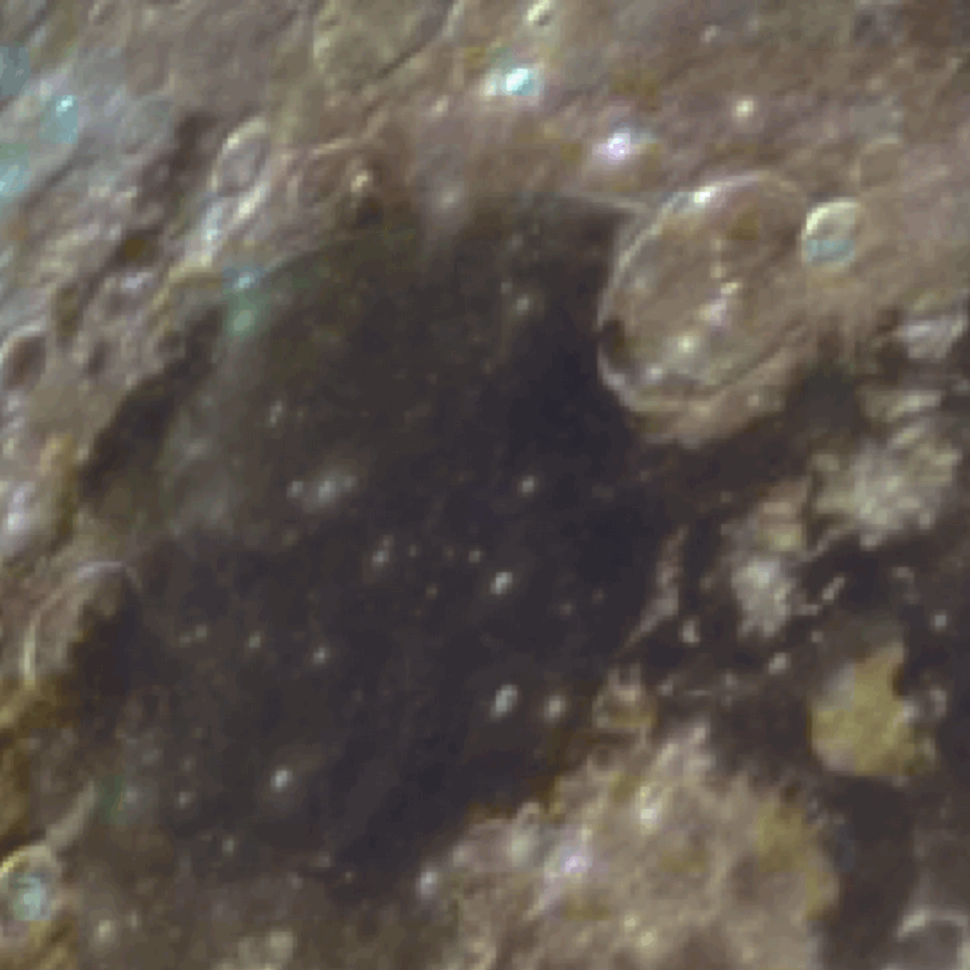 Moon Clip